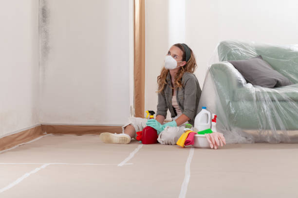 Trusted Mold Inspection service in Levering, MI - Cheap Mold Removal